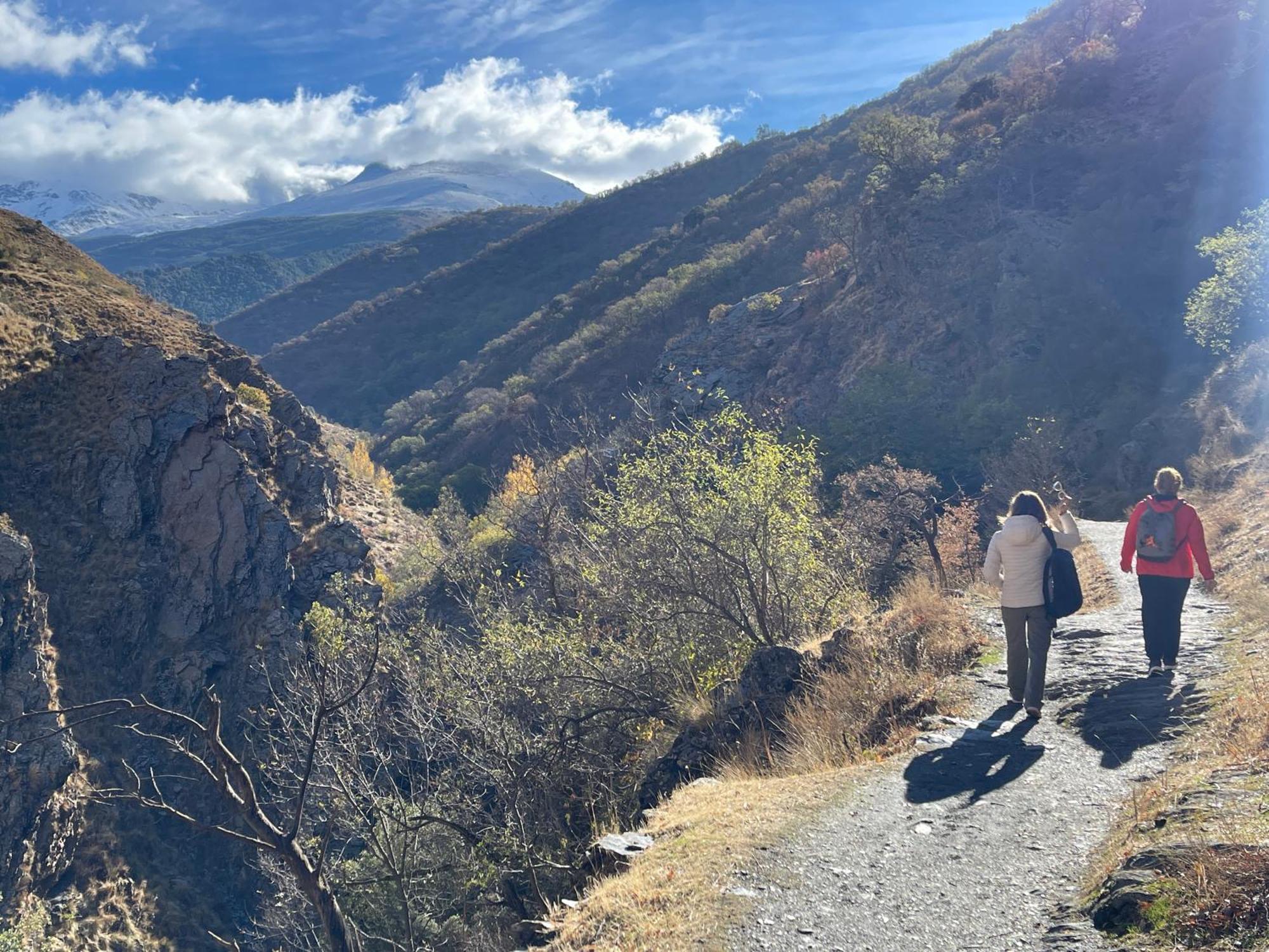La Casa Del Ciervo Sierra Nevada Lejlighed Güéjar Sierra Eksteriør billede